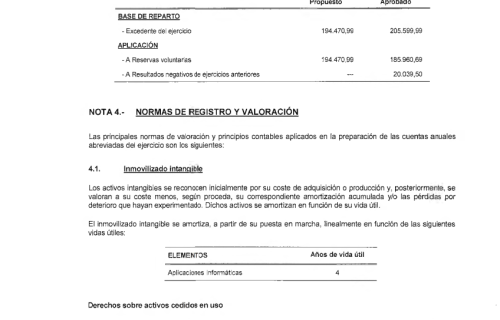 Eguzkilore_Informe-de-auditoria-2025__Pagina_11