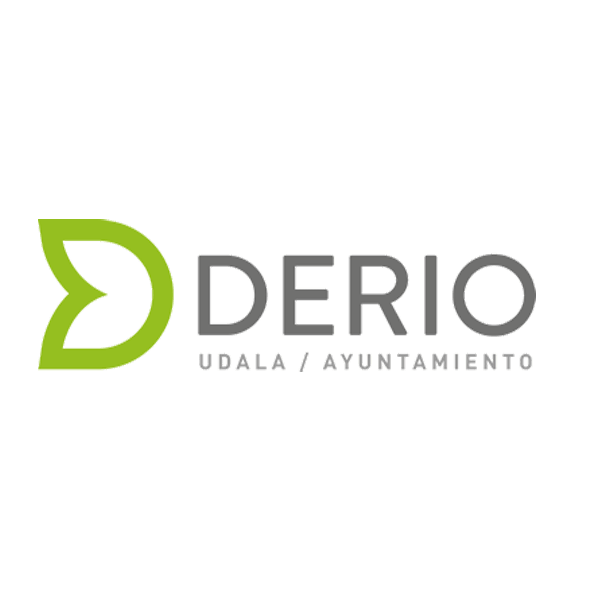 Ayuntamiento-derio