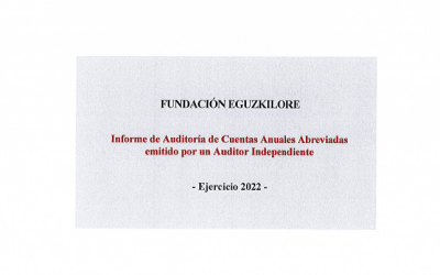 Informe Auditoría 2022